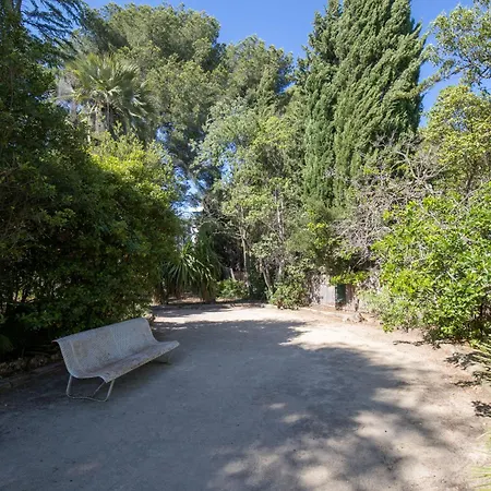 T2 Avec Vue Au Palais Lumiere