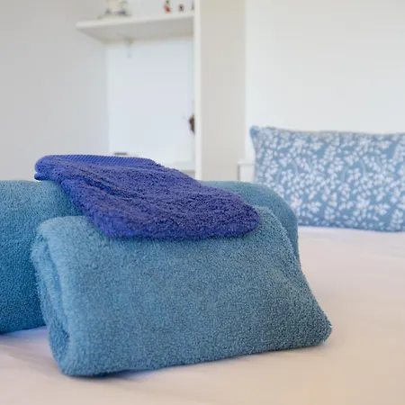 T2 Avec Vue Au Palais Lumiere